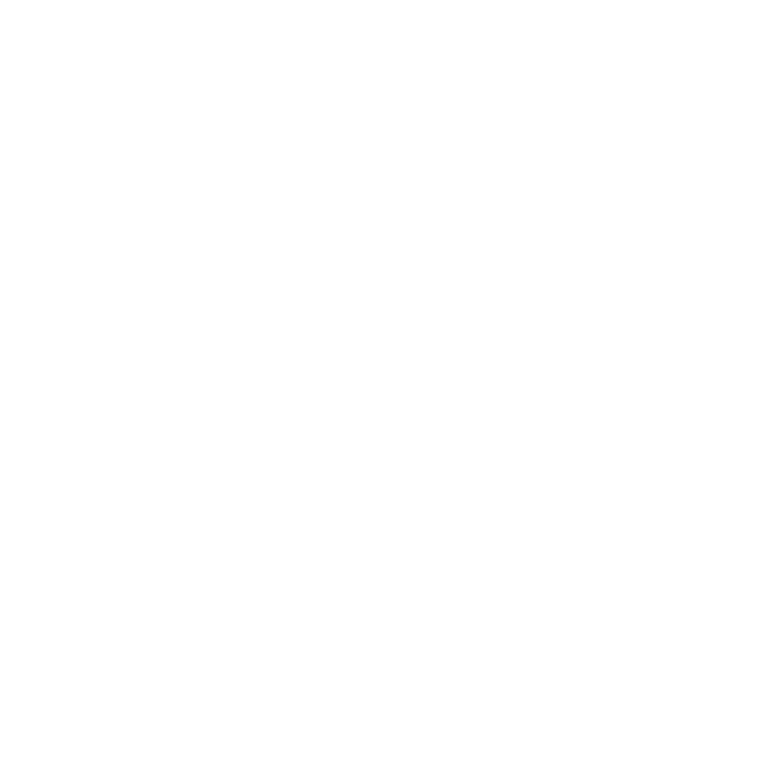 Black and White bnewsomedesigns logo