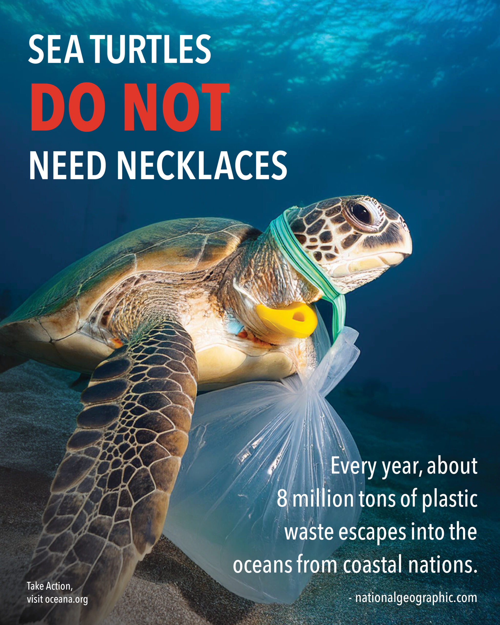 Ocean Pollution Poster depicting a sea turtle with trash around its neck