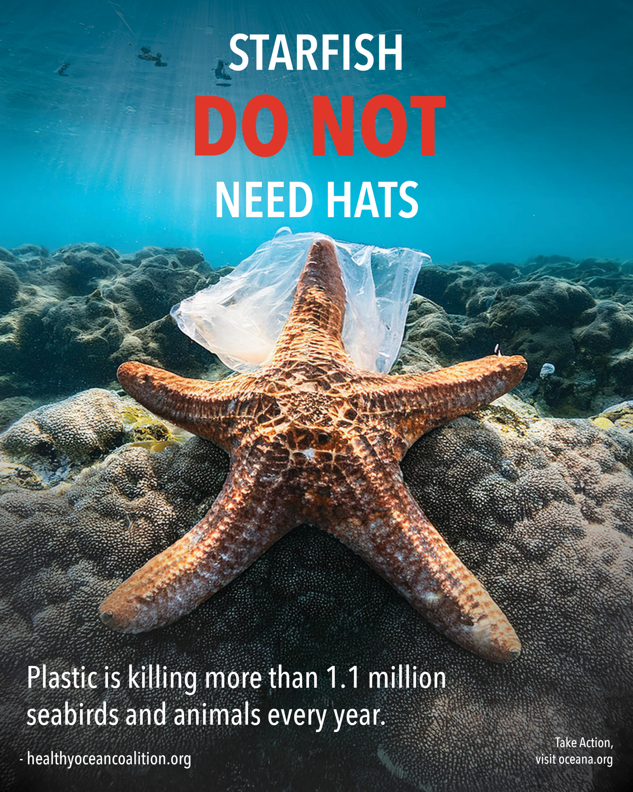 Ocean Pollution Poster depicting a starfish with plastic on its top leg