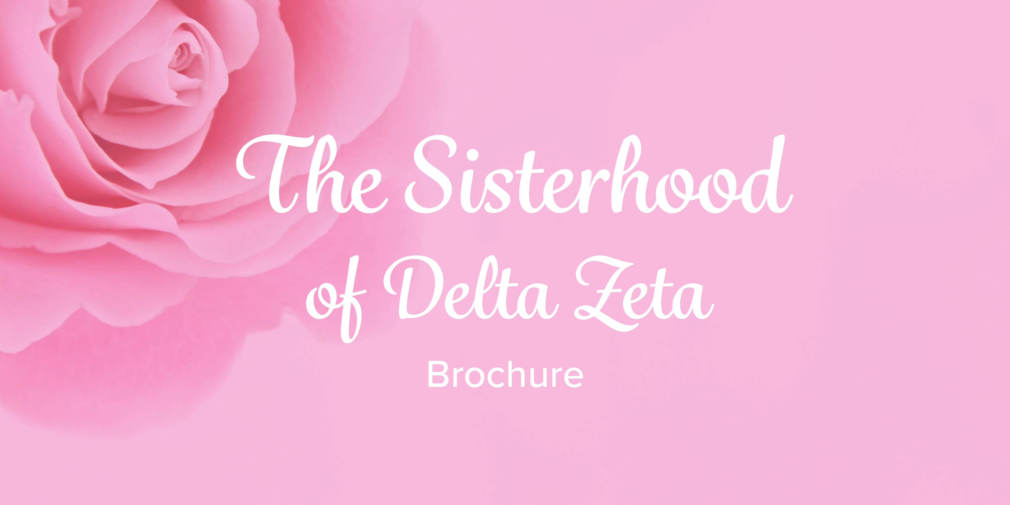 Sisterhood Hero Page